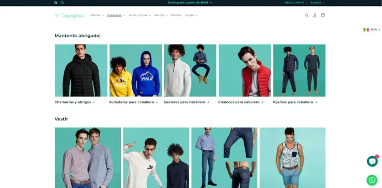 Conceptos Shopify store